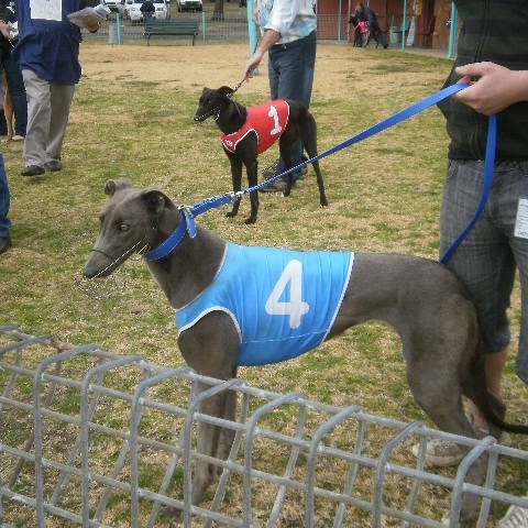 Jeffery Hanson Photo 25