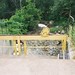 Howard Mills Photo 34