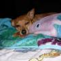 Marie Lucero Photo 20