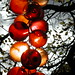 Maria Berry Photo 25