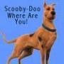 Sharon Motley Photo 11