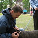 Steven Levi Photo 17