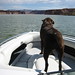 Carol Powell Photo 13
