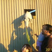 Angel Zubia Photo 10