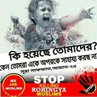 Zia Uddin Photo 23