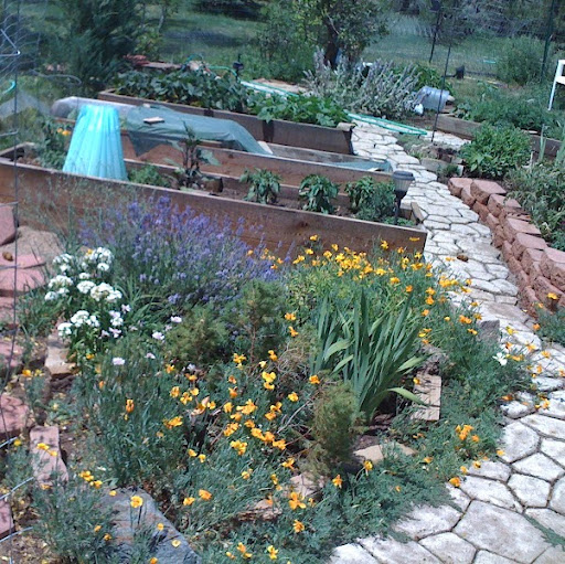 Lori Wells Photo 33