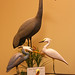 John Andrews Photo 14