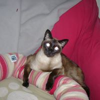 Marjorie Young Photo 2