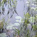 Warren Weaver Photo 11