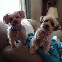 Denise Mattson Photo 8