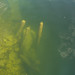 Dylan Berge Photo 8