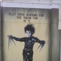 Bruce Wiseman Photo 10