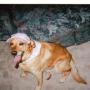 Rachel Huffman Photo 45