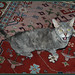 Kelli Call Photo 9