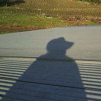 Ann Cavanaugh Photo 33