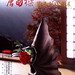 Liang Tang Photo 26