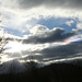 Suzanne Phillips Photo 36
