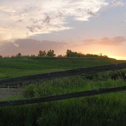 David Hoppe Photo 28