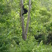 Lydia Gibbons Photo 11