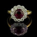 Ruby Shanks Photo 8