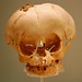 James Bone Photo 16