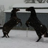 Jennifer Fraley Photo 32