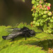 Mark Fly Photo 7