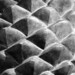 Donna Cones Photo 2