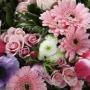 Suzanne Lamb Photo 20