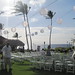Jaime Herman Photo 16