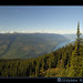 David Koos Photo 4