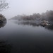 Misty Werner Photo 14