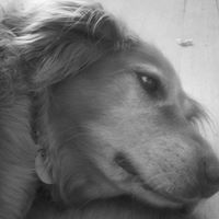 Samantha Dutton Photo 2