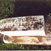 Albert Boyce Photo 21