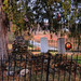Bryan Ward Photo 1