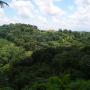Nelson Acevedo Photo 43