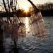 James Demin Photo 2