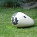 Carolyn Park Photo 12