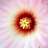 Heather Prall Photo 2