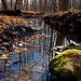 Kathy Moss Photo 31