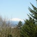 Helen Morin Photo 15