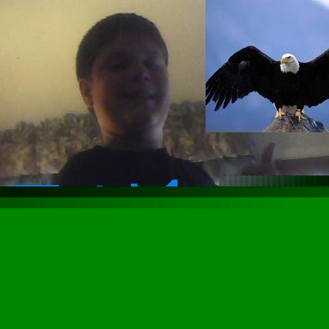Jay Eagle Photo 24