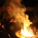 Debra Roman Photo 11