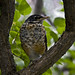 Robin Sharp Photo 27