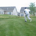 David Mcclure Photo 18