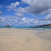 Richard Falcone Photo 28