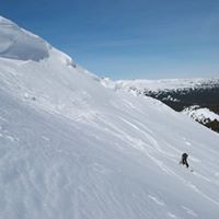 Robert Prentice Photo 49