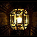 Luz Carmona Photo 20
