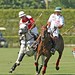 Lucas Pacheco Photo 20