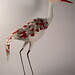 Wade Bird Photo 12